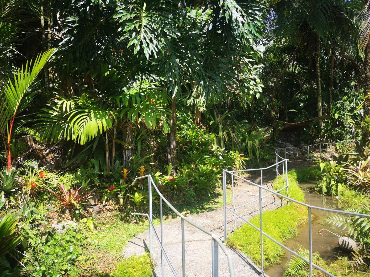 Casa Mendez B&B La Tigra  Exterior photo
